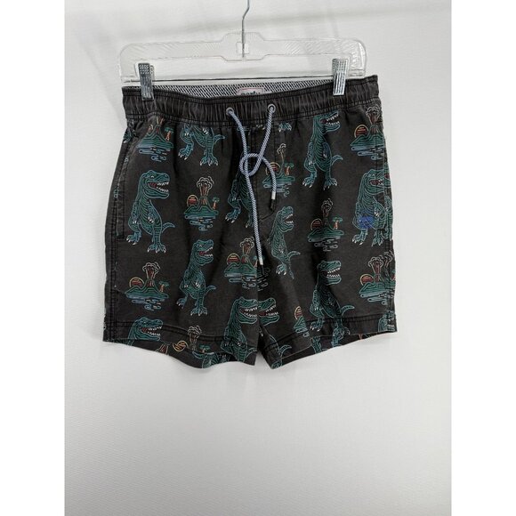 Party Pants Other - Party Pants Board Shorts Mens S 7" T-Rex AOP Dinosaures Volcanos Swim Trunks
